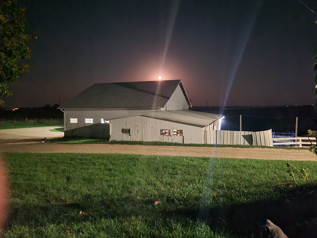 Could Your Worst Day be the Best Day for Your&nbsp;Kids?