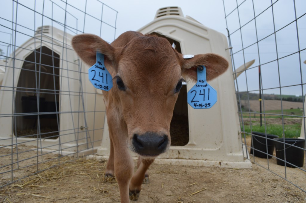 And That’s What We are Missing in Today’s&nbsp;Society….